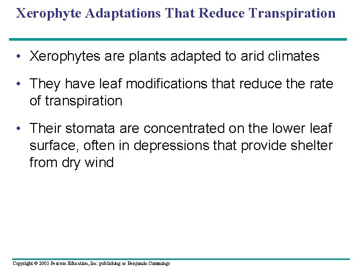 Xerophyte Adaptations That Reduce Transpiration • Xerophytes are plants adapted to arid climates •