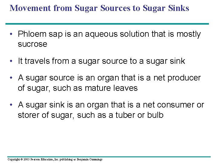 Movement from Sugar Sources to Sugar Sinks • Phloem sap is an aqueous solution