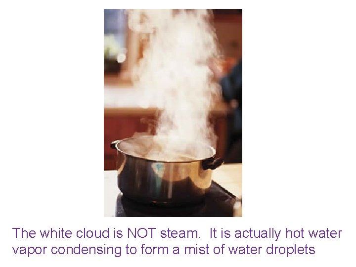 The white cloud is NOT steam. It is actually hot water vapor condensing to