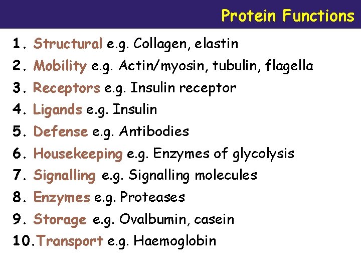 Protein Functions 1. Structural e. g. Collagen, elastin 2. Mobility e. g. Actin/myosin, tubulin,