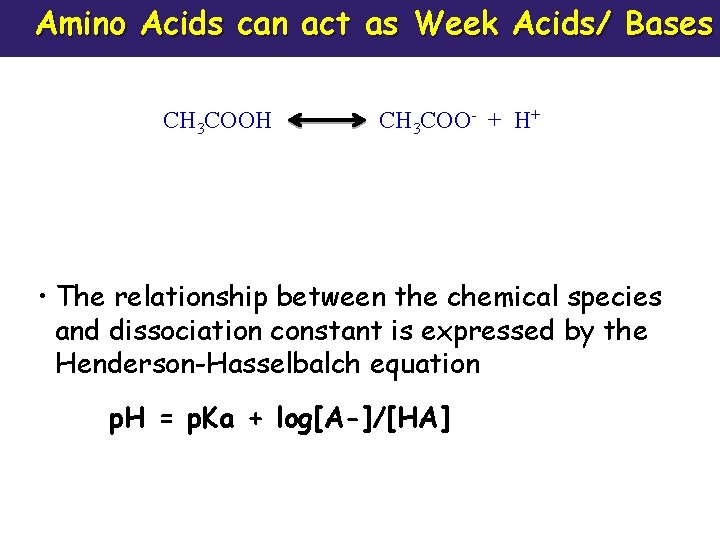 Amino Acids can act as Week Acids/ Bases CH 3 COOH CH 3 COO-