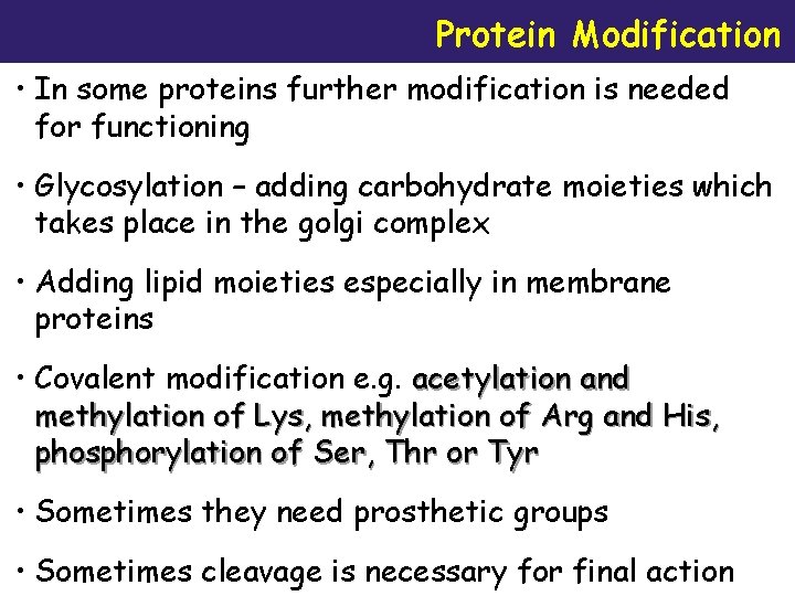 Protein Modification • In some proteins further modification is needed for functioning • Glycosylation