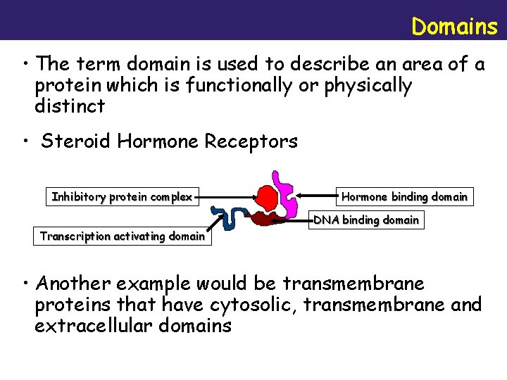 Domains • The term domain is used to describe an area of a protein