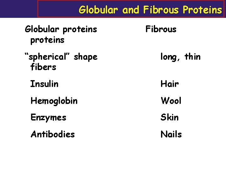 Globular and Fibrous Proteins Globular proteins “spherical” shape fibers Fibrous long, thin Insulin Hair