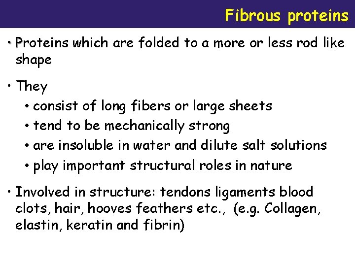 Fibrous proteins • Proteins which are folded to a more or less rod like