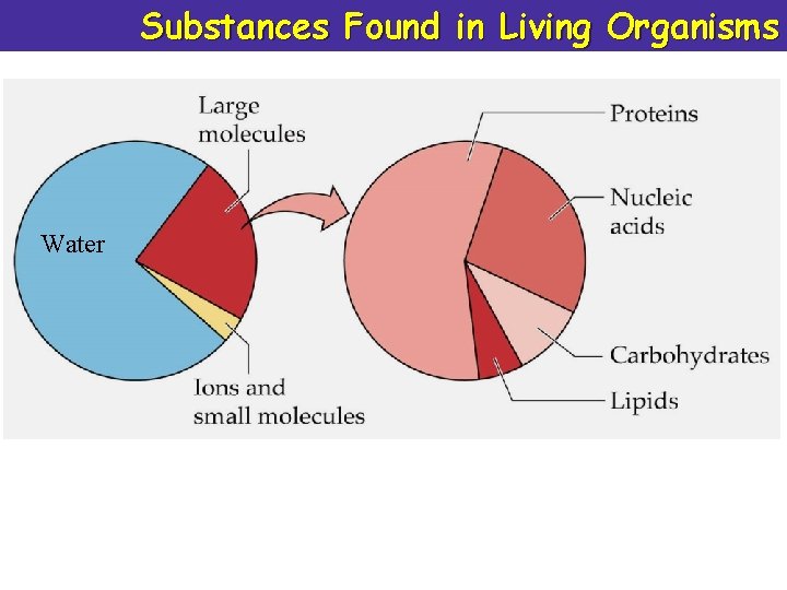 Substances Found in Living Organisms Water 