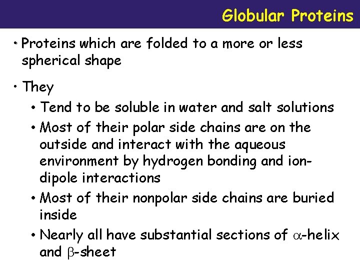 Globular Proteins • Proteins which are folded to a more or less spherical shape
