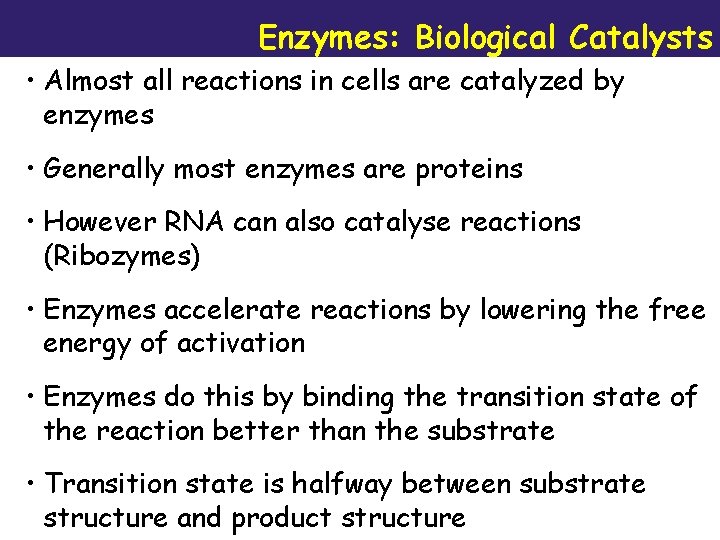 Enzymes: Biological Catalysts • Almost all reactions in cells are catalyzed by enzymes •