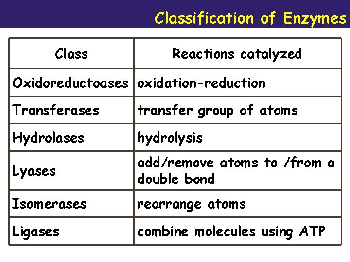 Classification of Enzymes Class Reactions catalyzed Oxidoreductoases oxidation-reduction Transferases transfer group of atoms Hydrolases