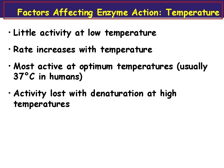Factors Affecting Enzyme Action: Temperature • Little activity at low temperature • Rate increases