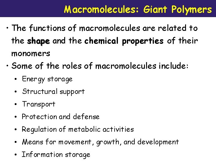 Macromolecules: Giant Polymers • The functions of macromolecules are related to the shape and