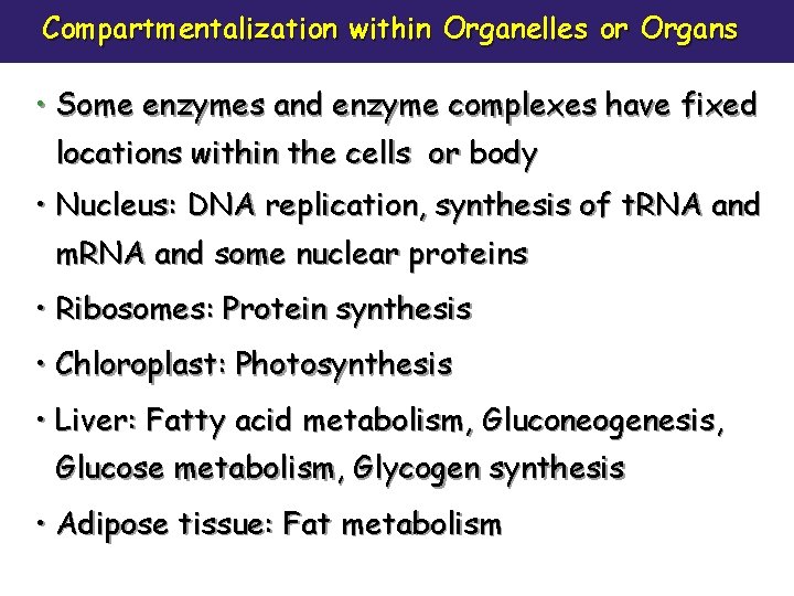 Compartmentalization within Organelles or Organs • Some enzymes and enzyme complexes have fixed locations