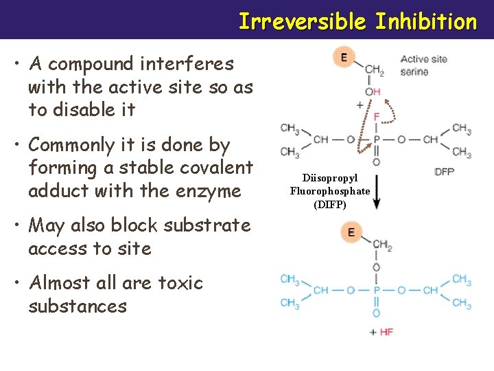 Irreversible Inhibition • A compound interferes with the active site so as to disable