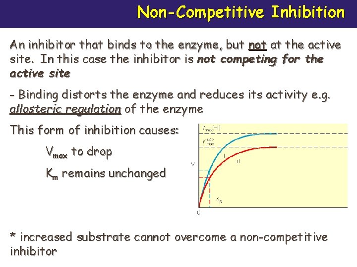 Non-Competitive Inhibition An inhibitor that binds to the enzyme, but not at the active