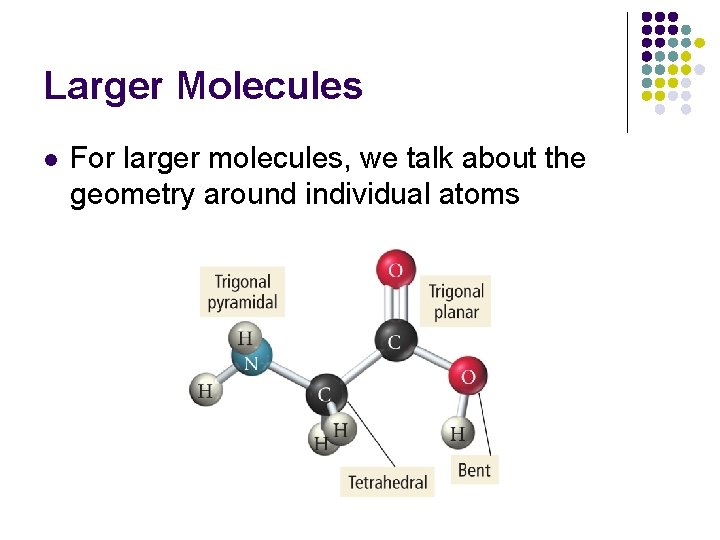 Larger Molecules l For larger molecules, we talk about the geometry around individual atoms