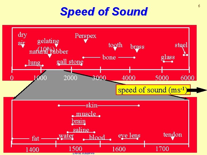 6 Speed of Sound dry air gelatine (10%) natural rubber lung 0 1000 Perspex