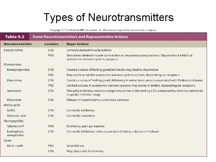 Types of Neurotransmitters 