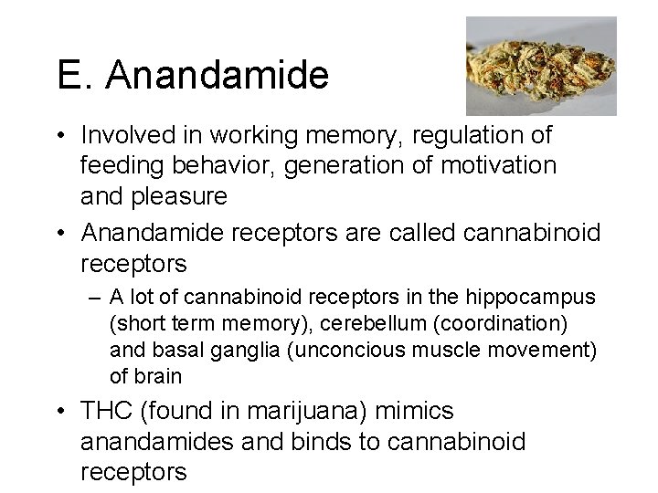 E. Anandamide • Involved in working memory, regulation of feeding behavior, generation of motivation