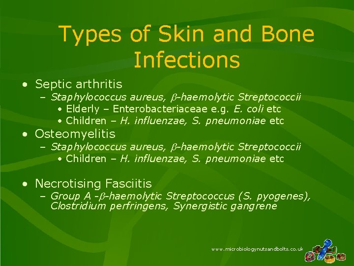 Types of Skin and Bone Infections • Septic arthritis – Staphylococcus aureus, b-haemolytic Streptococcii