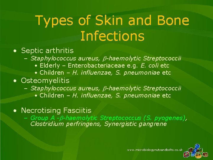 Types of Skin and Bone Infections • Septic arthritis – Staphylococcus aureus, b-haemolytic Streptococcii