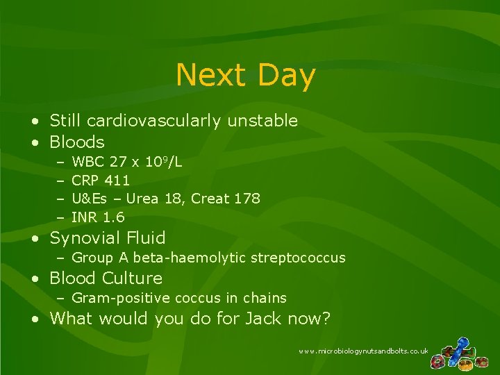 Next Day • Still cardiovascularly unstable • Bloods – – WBC 27 x 109/L