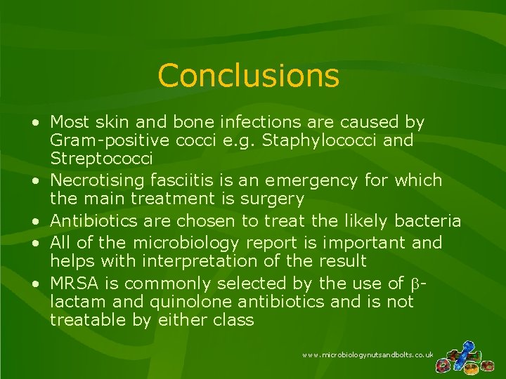 Conclusions • Most skin and bone infections are caused by Gram-positive cocci e. g.