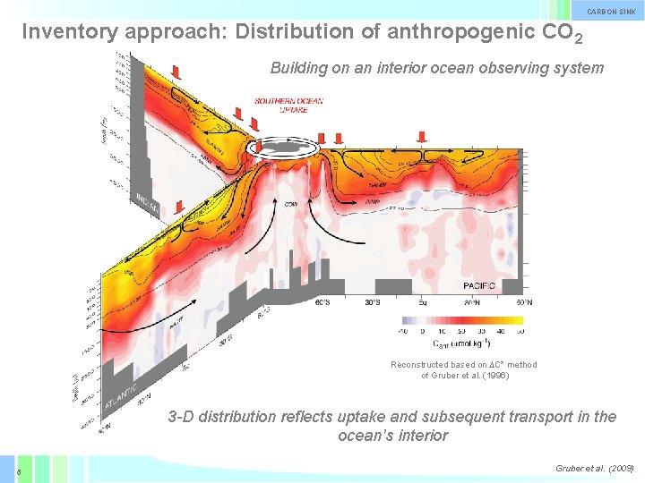 CARBON SINK Inventory approach: Distribution of anthropogenic CO 2 Building on an interior ocean