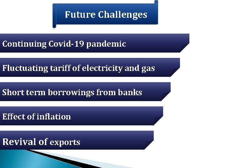 Future Challenges Continuing Covid-19 pandemic Fluctuating tariff of electricity and gas Short term borrowings