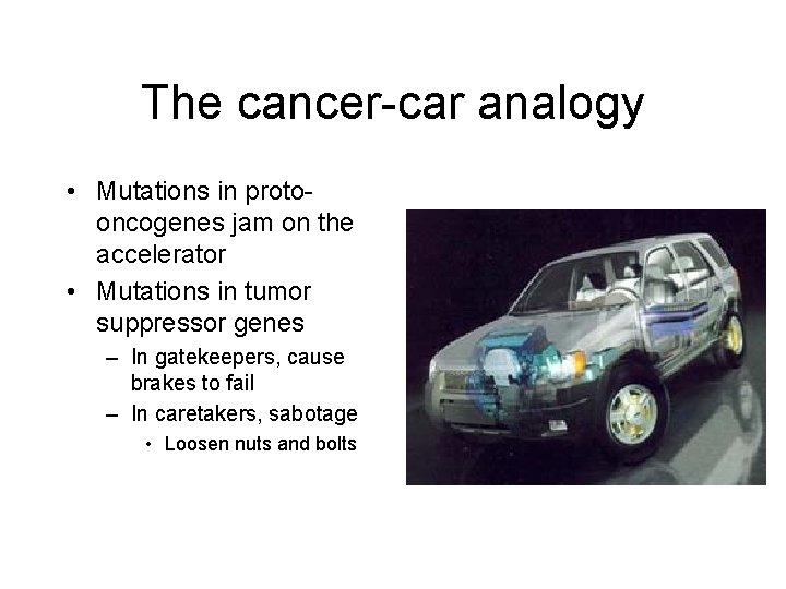 The cancer-car analogy • Mutations in protooncogenes jam on the accelerator • Mutations in