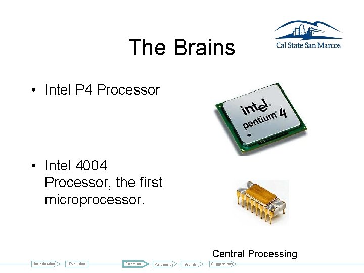 The Brains • Intel P 4 Processor • Intel 4004 Processor, the first microprocessor.