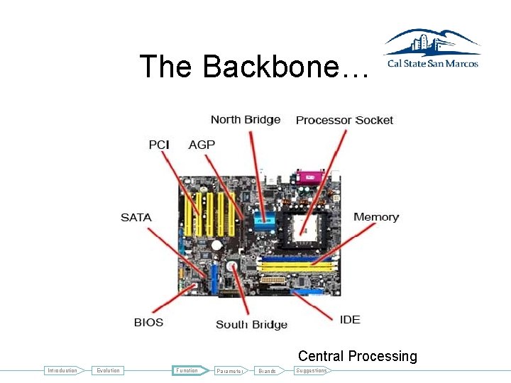 The Backbone… Central Processing Introduction Evolution Function Parameter Brands Suggestions 