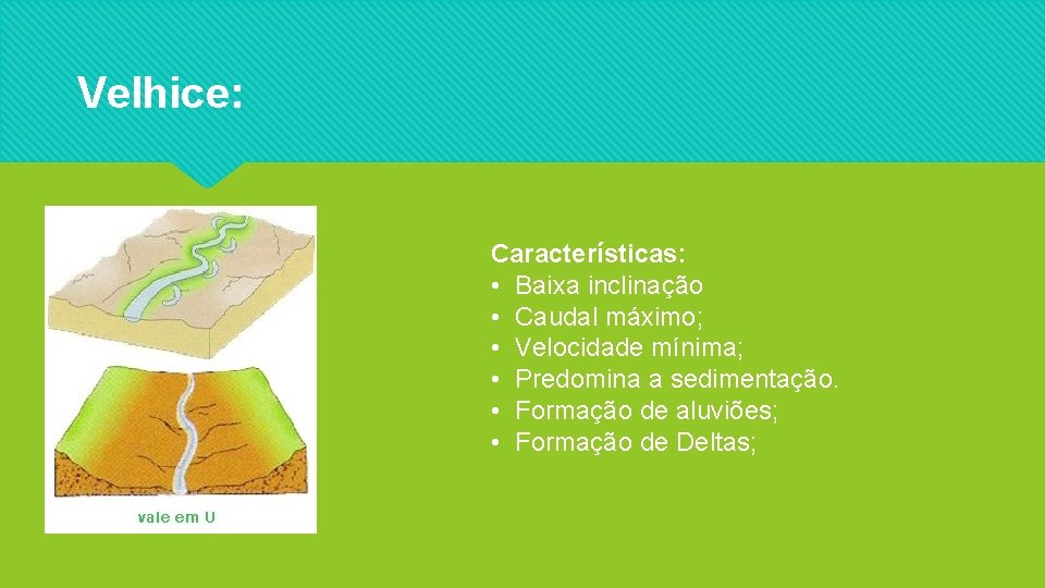 Velhice: Características: • Baixa inclinação • Caudal máximo; • Velocidade mínima; • Predomina a