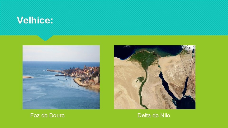 Velhice: Foz do Douro Delta do Nilo 
