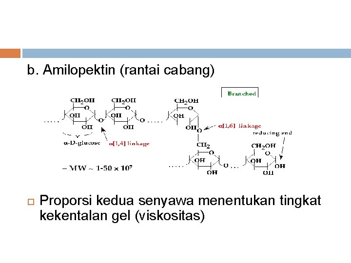 b. Amilopektin (rantai cabang) Proporsi kedua senyawa menentukan tingkat kekentalan gel (viskositas) 