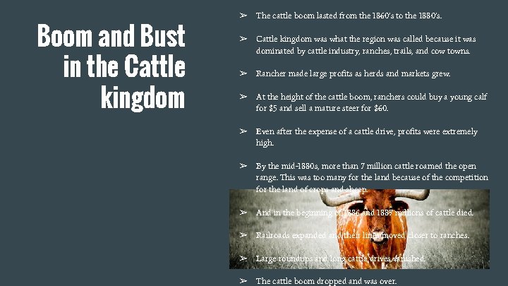 Boom and Bust in the Cattle kingdom ➢ The cattle boom lasted from the