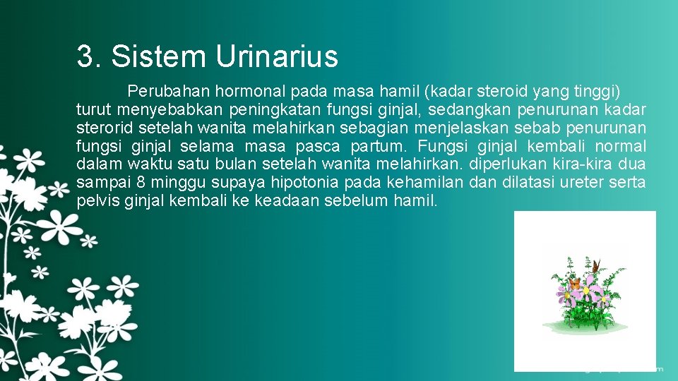 3. Sistem Urinarius Perubahan hormonal pada masa hamil (kadar steroid yang tinggi) turut menyebabkan