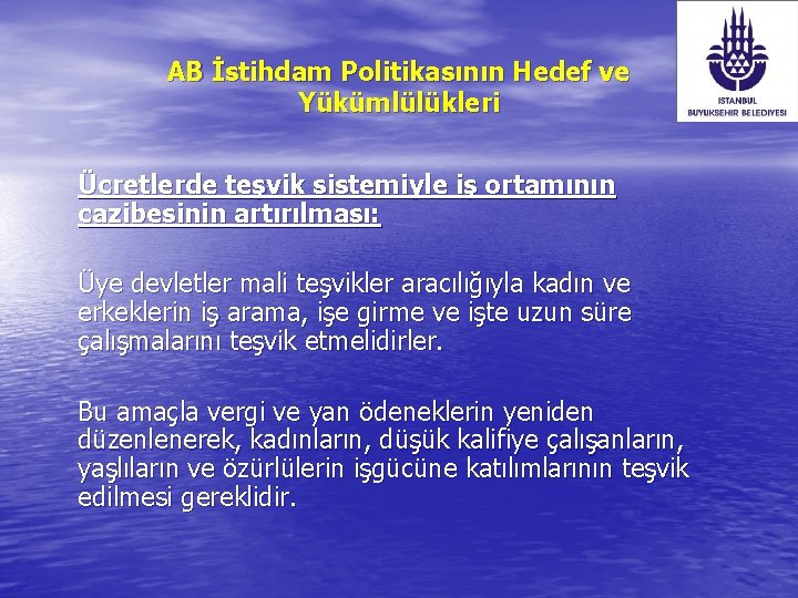 AB İstihdam Politikasının Hedef ve Yükümlülükleri Ücretlerde teşvik sistemiyle iş ortamının cazibesinin artırılması: Üye