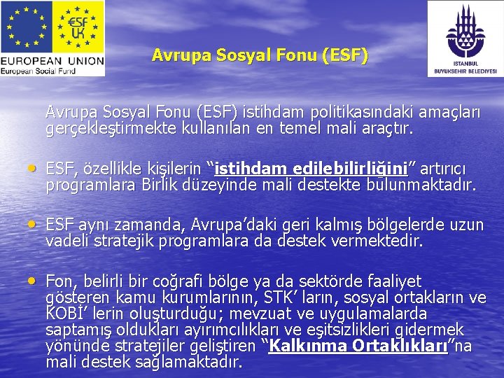 Avrupa Sosyal Fonu (ESF) istihdam politikasındaki amaçları gerçekleştirmekte kullanılan en temel mali araçtır. •