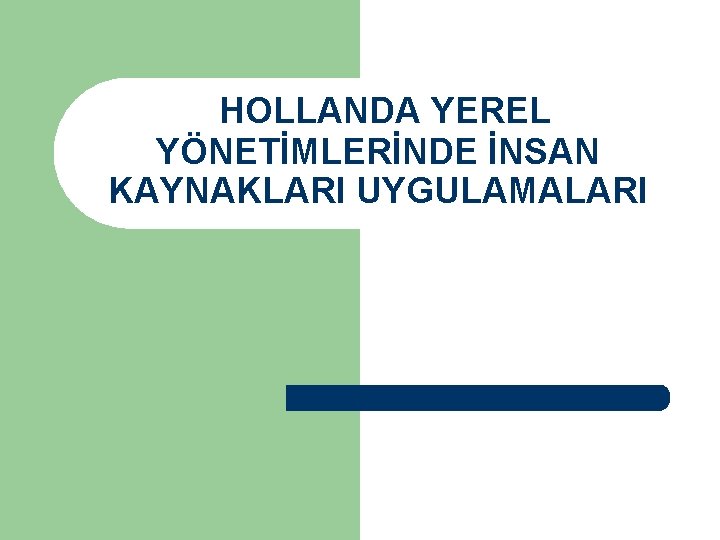 HOLLANDA YEREL YÖNETİMLERİNDE İNSAN KAYNAKLARI UYGULAMALARI 