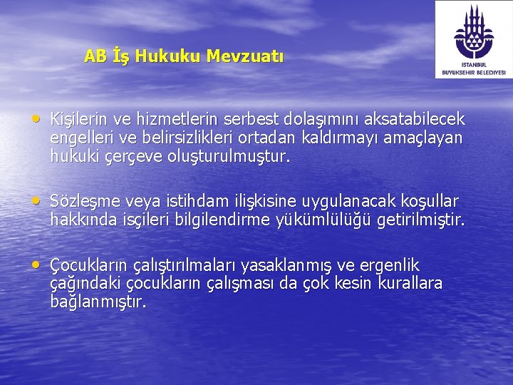 AB İş Hukuku Mevzuatı • Kişilerin ve hizmetlerin serbest dolaşımını aksatabilecek engelleri ve belirsizlikleri