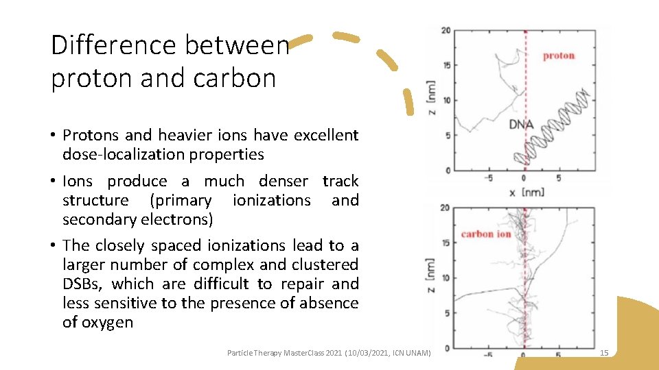 Difference between proton and carbon • Protons and heavier ions have excellent dose-localization properties