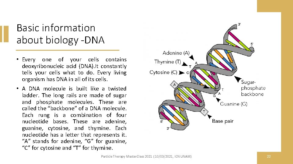 Basic information about biology -DNA • Every one of your cells contains deoxyribonucleic acid