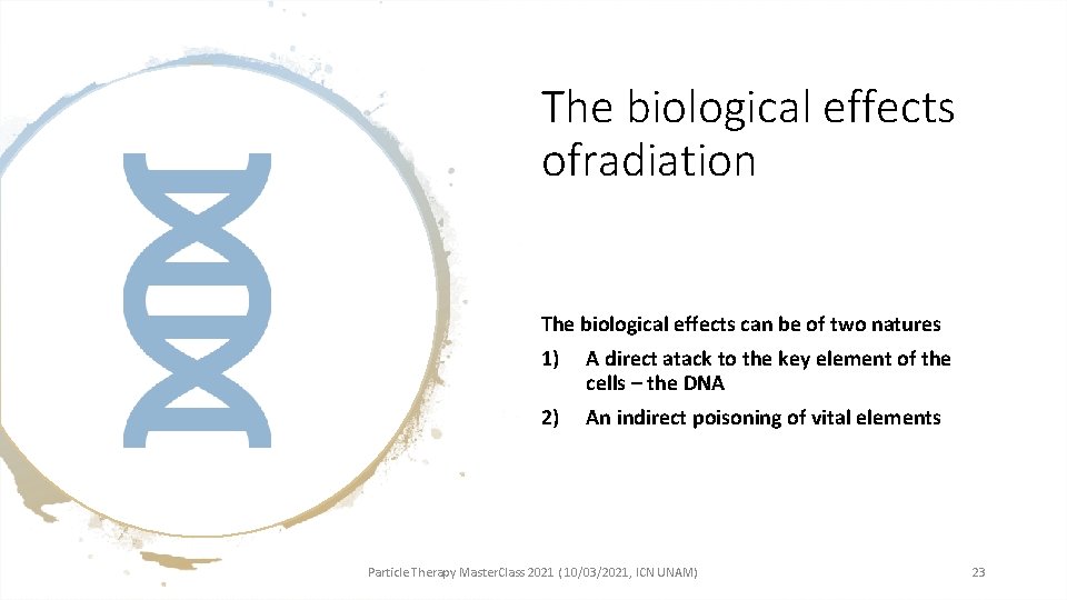 The biological effects ofradiation The biological effects can be of two natures 1) A