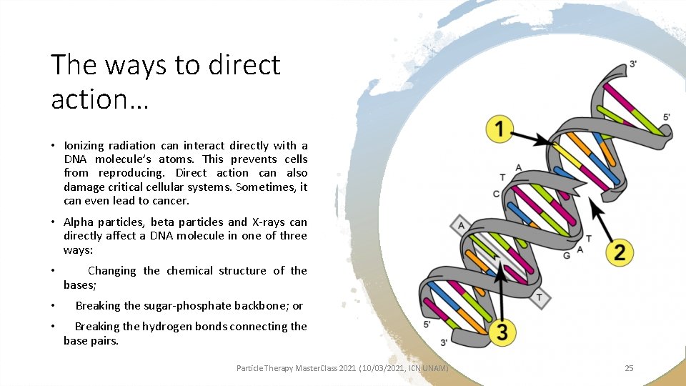 The ways to direct action… • Ionizing radiation can interact directly with a DNA