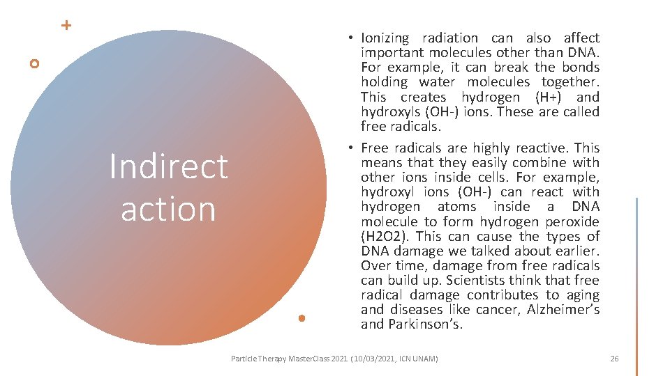 Indirect action • Ionizing radiation can also affect important molecules other than DNA. For