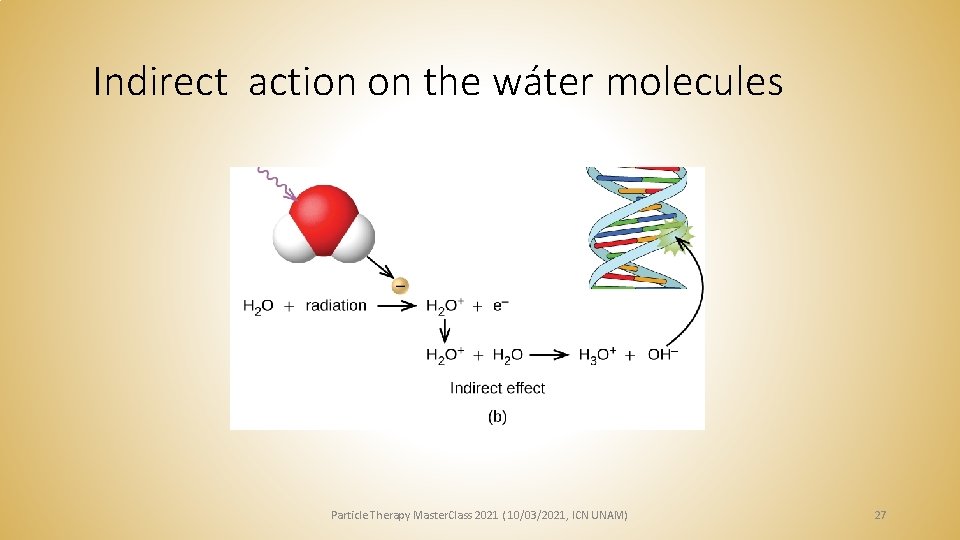 Indirect action on the wáter molecules Particle Therapy Master. Class 2021 ( 10/03/2021, ICN