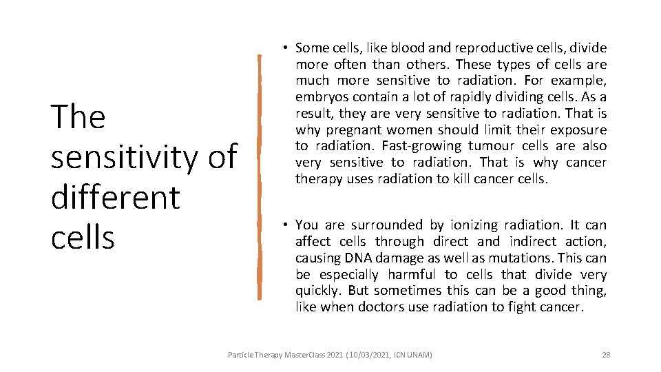 The sensitivity of different cells • Some cells, like blood and reproductive cells, divide