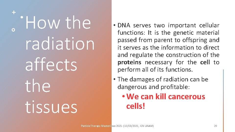 How the radiation affects the tissues • DNA serves two important cellular functions: It