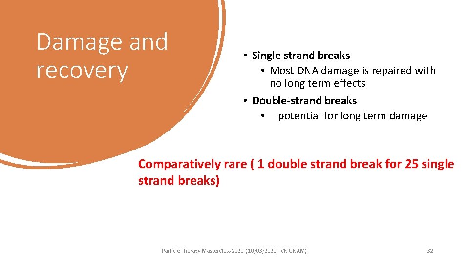 Damage and recovery • Single strand breaks • Most DNA damage is repaired with