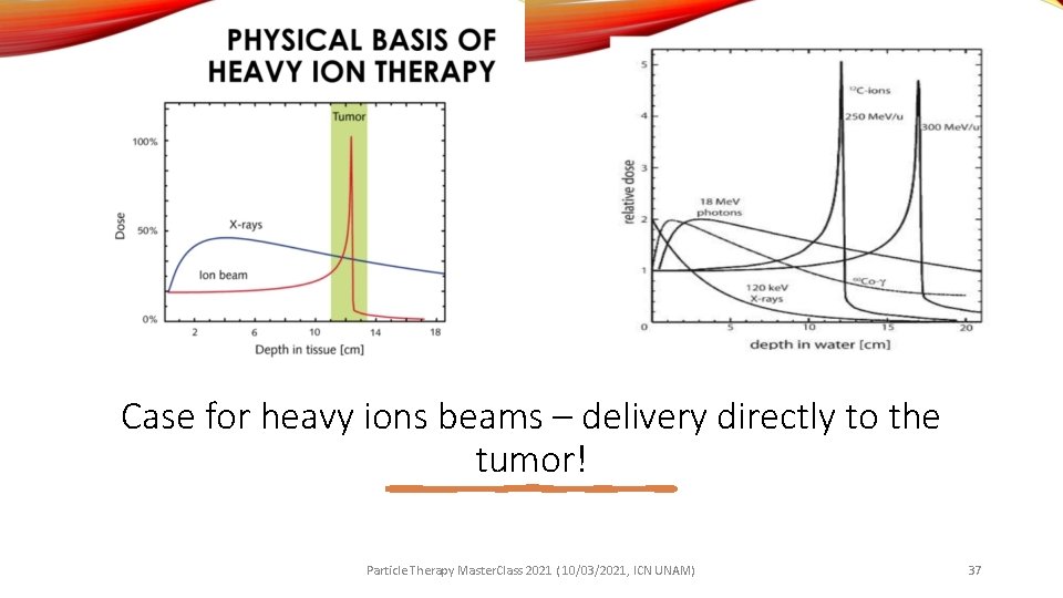 Case for heavy ions beams – delivery directly to the tumor! Particle Therapy Master.